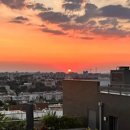 Rooftop Sunset Lover